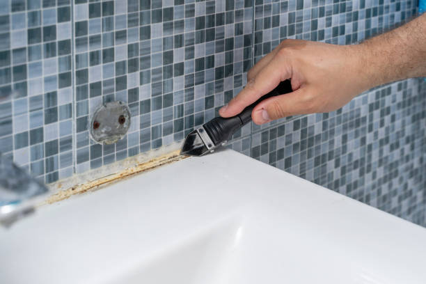 Home Mold Removal in Koloa, HI